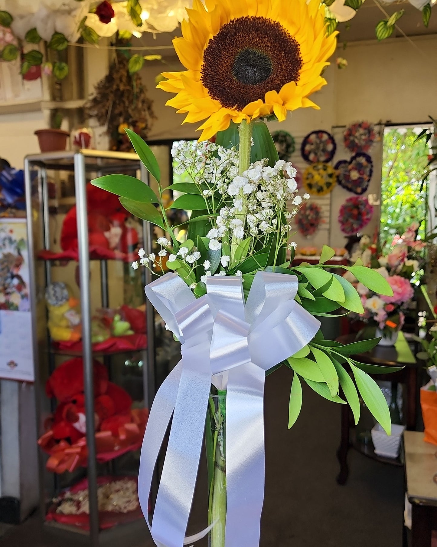 Sunflower in Vase